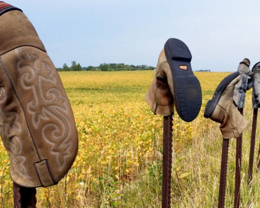 The Meaning Behind Cowboy Boots on Fence Posts in Texas The Meaning Behind Cowboy Boots on Fence Posts in Texas